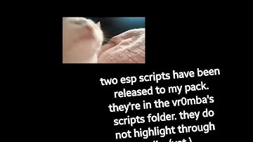 Arceus X - Two ESP scripts