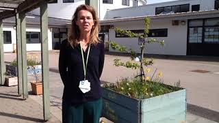 Hazlehead School Virtual Tour - Your Playground