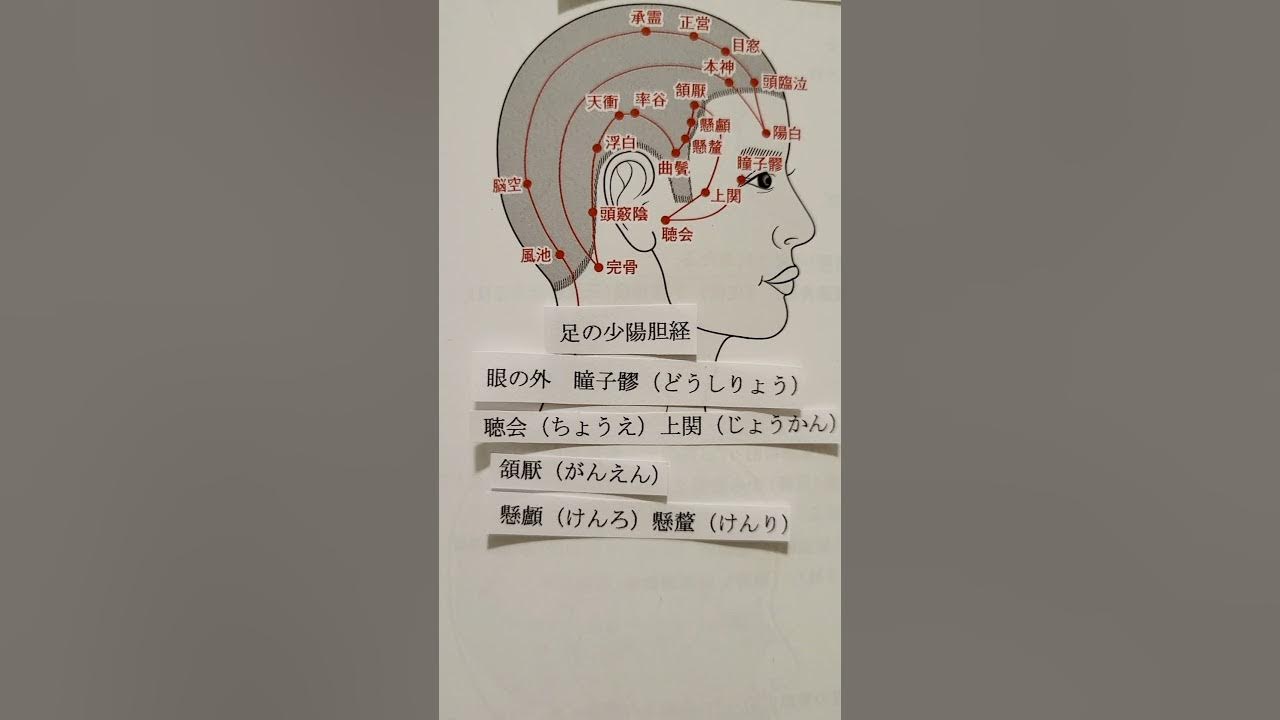 足の少陽胆経 経絡経穴 歌で覚える 覚え方 YouTube