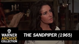 Clean, Content and Without Guilt | The Sandpiper | Warner Archive