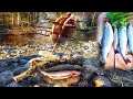 CATCH N&#39; COOK Wild Trout ! Cookout on Rock &amp; Stick - Beautiful Nature