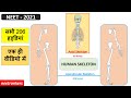 COMPLETE 206 BONES OF HUMAN BODY WITH FULL DETAILS II पूरे 206 हड्डियां एक विडियो में