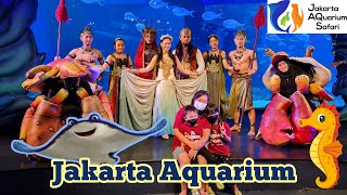 Jakarta Aquarium Safari | Jakarta Aquarium | Wisata Jakarta