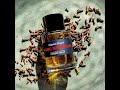 Frederic Malle Musc Ravageur Fragrance Review (2000)