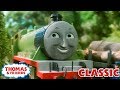 Henry&#39;s Forest | Thomas &amp; Friends UK | Kids Cartoon | Full Episode | Season 3