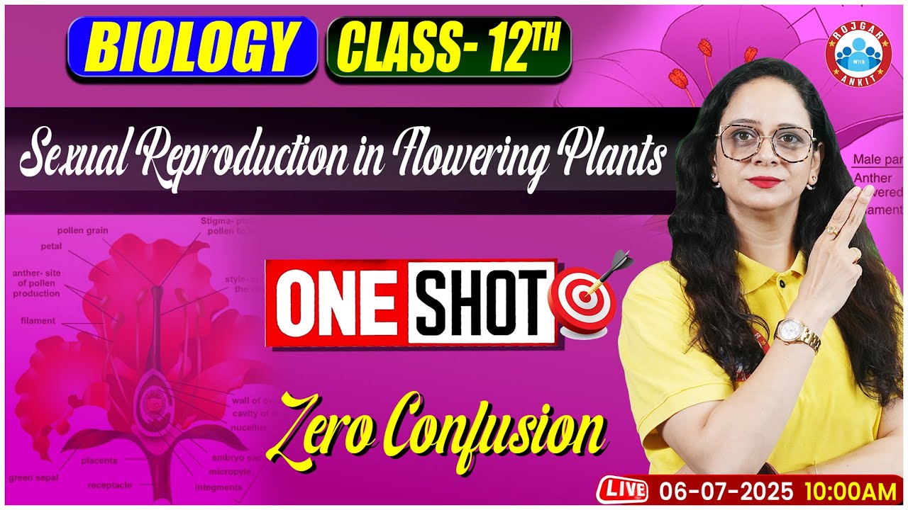 Sexual Reproduction in Flowering Plants 🌺 | ONE SHOT | Class 12 Biology | Zero Confusion | UP Board