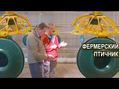 Секреты фермера. Оборудование современного помещения для содержания 1000 голов  бройлера.