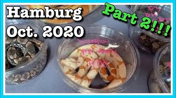 HAMBURG REPTILE SHOW (October 2020) Part 2 | Reptile Expo | Ball Python Breeding