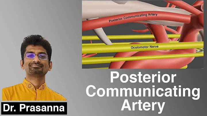 Posterior Communicating Artery Aneurysm
