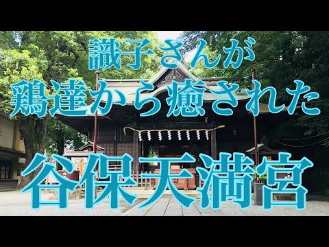 東日本で最も古い天満宮《谷保天満宮》
