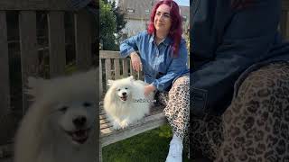 Warum Hunde den Frühling lieben? 🌼🐶