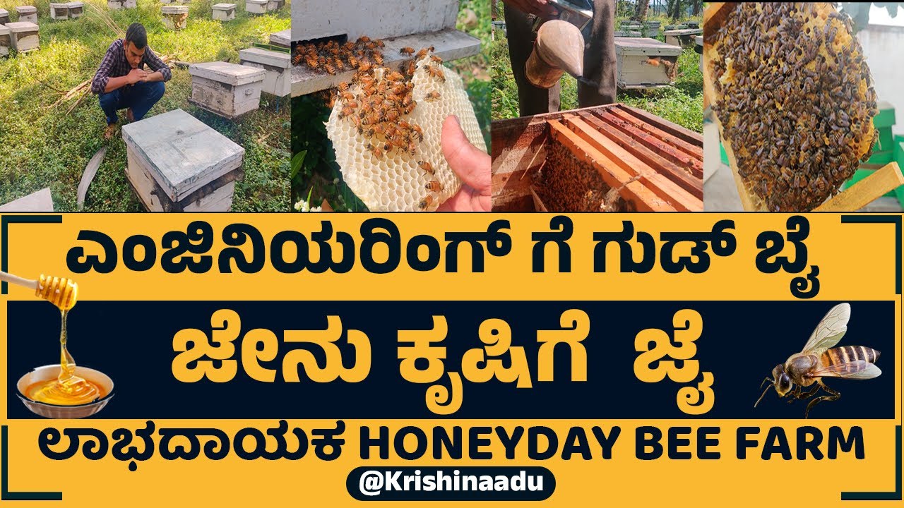 Honey Bee keeping | Honeyday Farming | How to harvest honey | Honey day Farms in karnataka