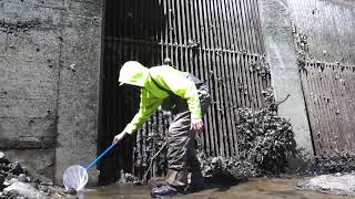 Authorized Personnel Only - Fish And Wildlife Control During The Shutdown and a peek underneath!