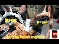 Coffee Ground Antler Restoration | Restore old sheds and dead heads to a natural look | Unguided Adv