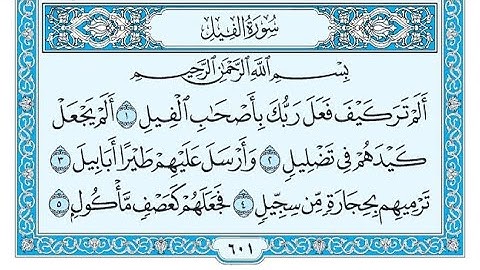سورة الفيل مكتوبة / ناصر القطامي