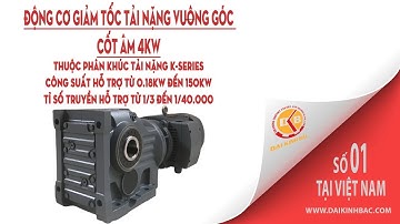 Động Cơ Giảm Tốc Tải Nặng Vuông Góc Cốt Âm 4KW | Sản Phẩm | Đại Kinh Bắc