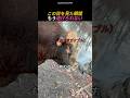 一触即発の瞬間！召喚術を使う男