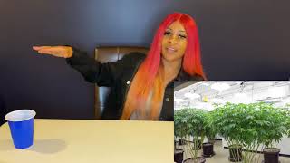 The difference between Clones and Seeds (Venom OG Review)