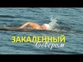 ЗАКАЛЕННЫЙ СЕВЕРОМ - Евгений Кудрявцев переплыл Кольский залив 24 раза