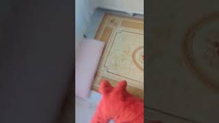 Uykudan Yeni Uyandım Da Ben