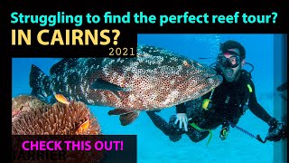 Struggling to find the perfect reef tour in Cairns?