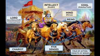 How to Control Your Mind: Bhagavad Gita Psychology for Modern Focus