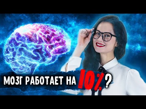 Видео: Разница между мозгом и корой головного мозга