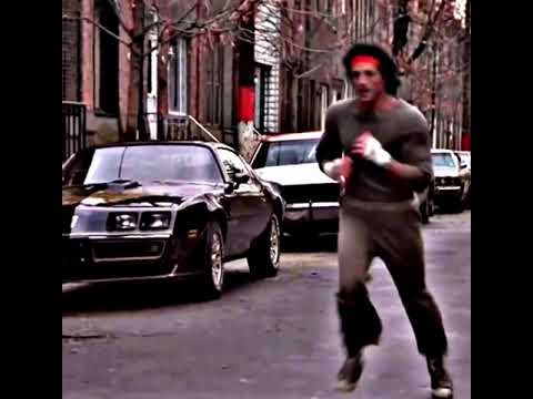 Rocky 2 “TRAINING” trying new quality #rocky #rockybalboa #training #training