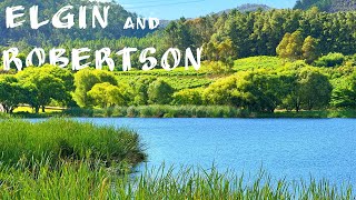 Wines of South Africa | Ep. 7 | Elgin and Robertson wine regions | Lothian vineyards | Esona wines.