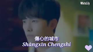 Shangxin chengshi