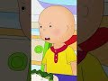 Caillou Gets Grounded Caillou Shorts For Kids WildBrain Bites Shorts