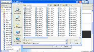 FrontPage Tutorial Modifying Lists Microsoft Training Lesson 6.4