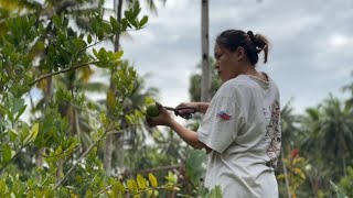 Episode 133 Farm Life Update