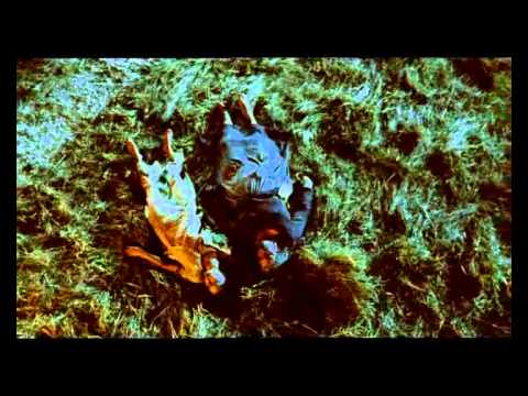 Mataku The Blue Line Kahurangi 