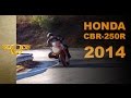 Honda CBR 250R の動画、YouTube動画。