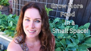 Growing Food in Small Spaces: 3 Essential Tips