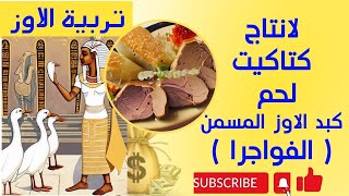 دراسة جدوى تربية الاوز لانتاج الكتاكيت واللحم والفواجرا ( كبد الاوز المسمن ) اغلى طبق فى العالم