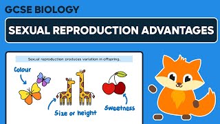 Advantages of Sexual Reproduction - GCSE Biology
