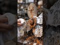 Instant Rust Cleaning Spray, Satisfying ASMR 😌#rust #spray #satisfying #asmr #shorts#relax #diy #art