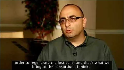 Hearing Restoration Project: A promise to deliver a genuine, biologic cure for hearing loss