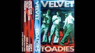 Toadies - Possum Kingdom (1992)