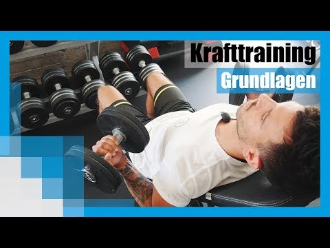 Krafttraining für Anfänger: Die Basics für effektiven Muskelaufbau 💪