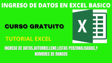 Tutorial Excel- Ingreso de Datos (Excel Básico)