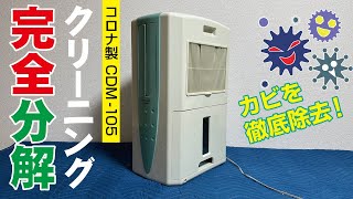 mqdefault.jpg