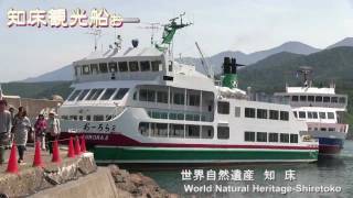 世界自然遺産 知床 知床観光船おーろらの旅 Youtube 世界自然遺産 知床 知床観光船おーろらの旅 Youtube