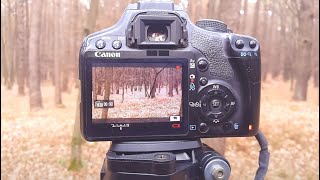 [Natalex] Зеркалка 500D, осенний лес, съёмка со штатива...