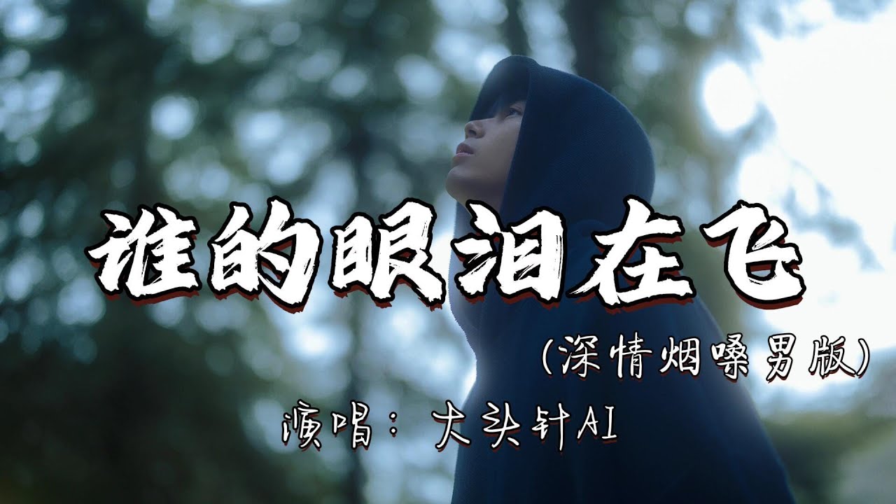 大头针AI - 谁的眼泪在飞（深情烟嗓男版）『谁的眼泪在飞 是不是流星的眼泪，变成了世界上每一颗不快乐的心。』『动态歌词MV』#翻唱 #经典老歌 #必听热门歌曲