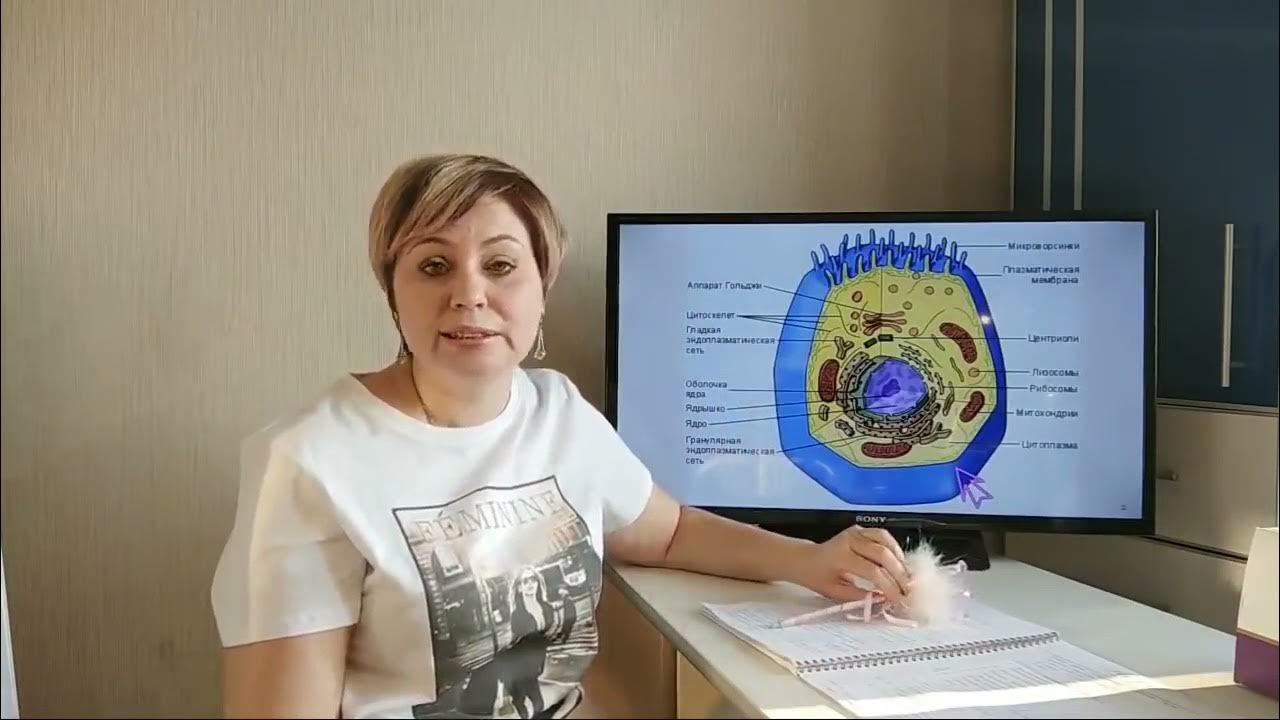 Литвиненко вебинары. Литвиненко вебинары