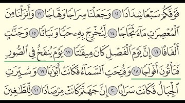 سورة النبا - بندر بليلة - Surah An-Naba - Bander Baleela - (78)