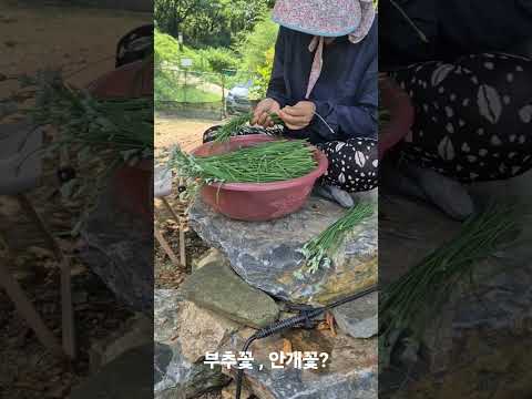 주막골